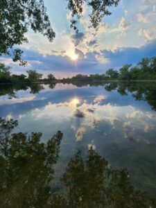 Dodge County